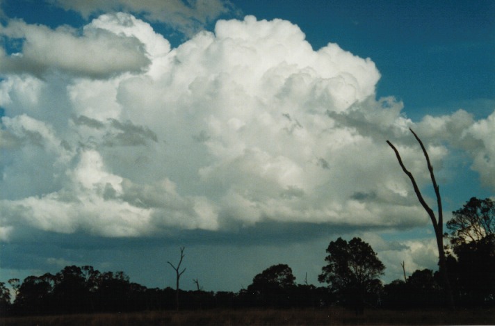 raincascade precipitation_cascade : E of Morven, Qld   21 November 1999