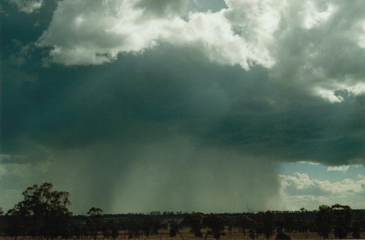 raincascade precipitation_cascade : E of Morven, Qld   21 November 1999
