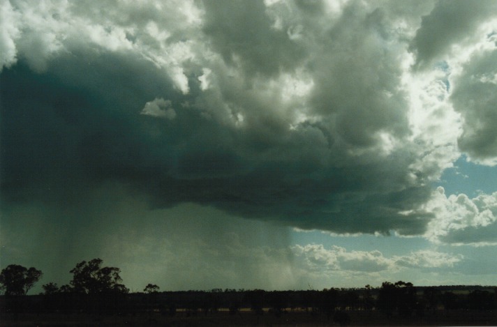 cumulonimbus thunderstorm_base : E of Morven, Qld   21 November 1999