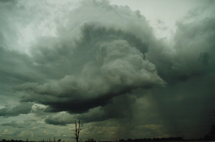 raincascade precipitation_cascade : S of Gumtree, Qld   22 November 1999