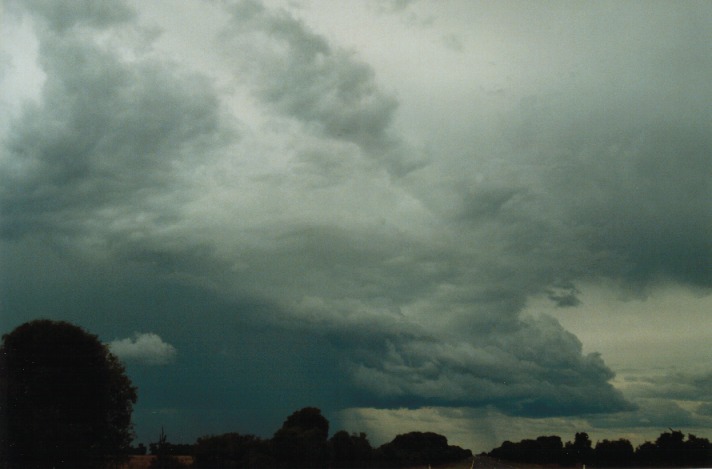 raincascade precipitation_cascade : S of Gumtree, Qld   22 November 1999