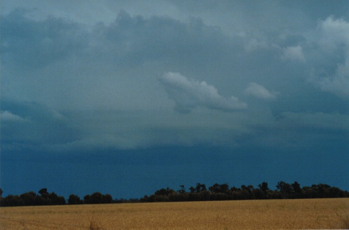 cumulonimbus supercell_thunderstorm : S of Condamine, Qld   22 November 1999