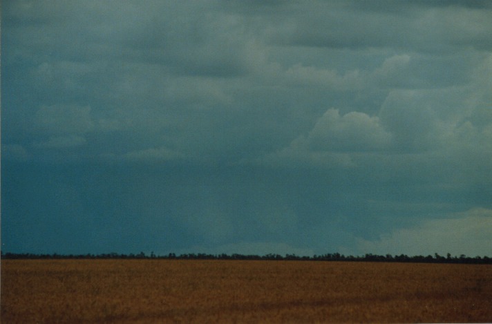 cumulonimbus thunderstorm_base : S of Condamine, Qld   22 November 1999