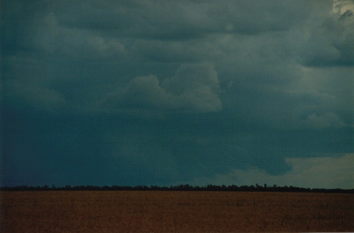 cumulonimbus thunderstorm_base : S of Condamine, Qld   22 November 1999