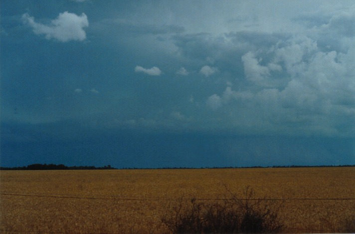 cumulonimbus thunderstorm_base : S of Condamine, Qld   22 November 1999