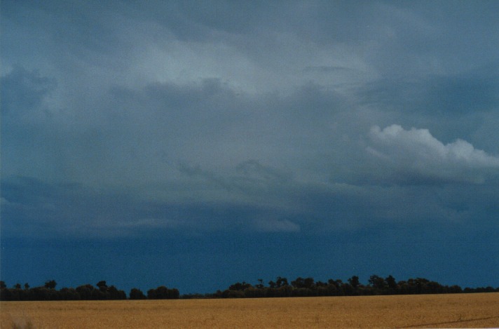 cumulonimbus supercell_thunderstorm : S of Condamine, Qld   22 November 1999