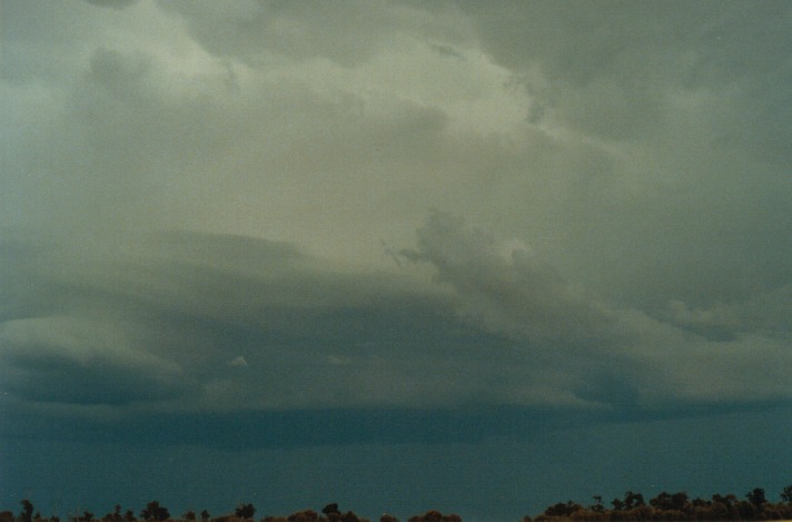 cumulonimbus thunderstorm_base : S of Condamine, Qld   22 November 1999