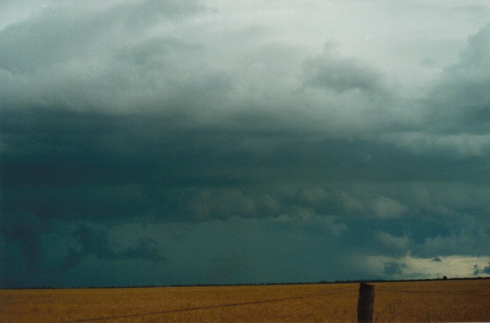 cumulonimbus supercell_thunderstorm : S of Condamine, Qld   22 November 1999