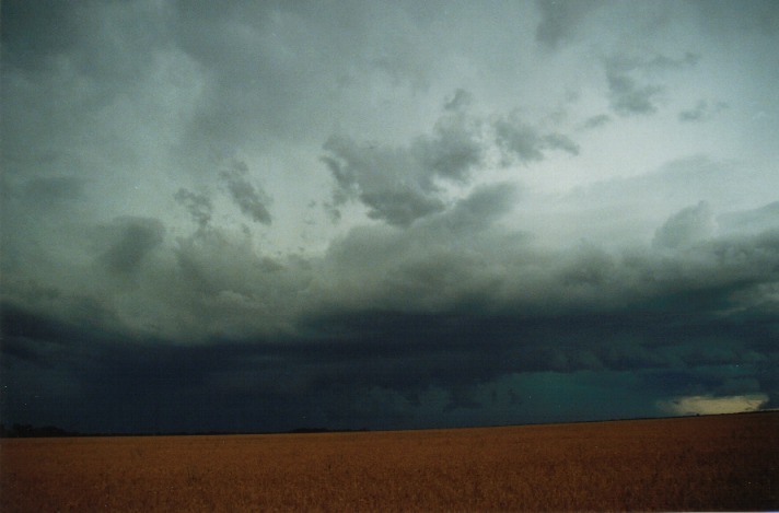 shelfcloud shelf_cloud : S of Condamine, Qld   22 November 1999