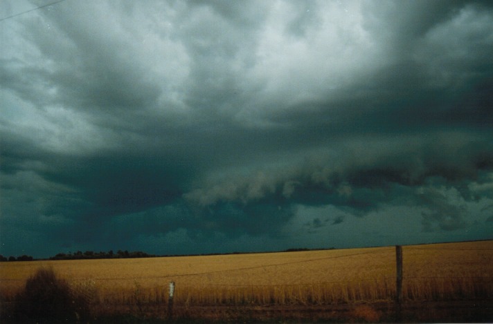 cumulonimbus supercell_thunderstorm : S of Condamine, Qld   22 November 1999