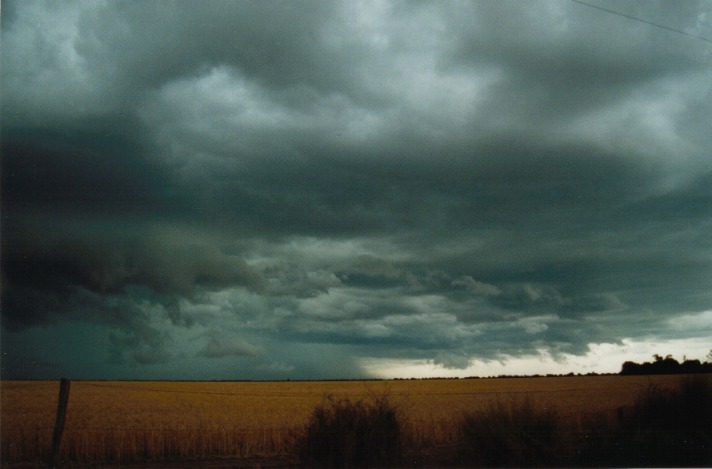 shelfcloud shelf_cloud : S of Condamine, Qld   22 November 1999