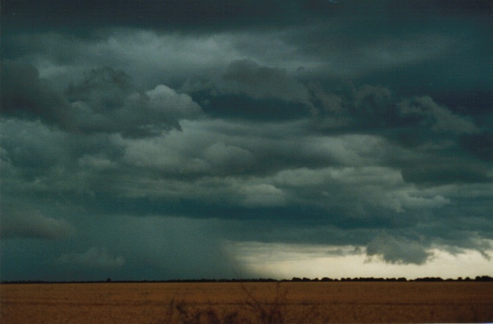 cumulonimbus supercell_thunderstorm : S of Condamine, Qld   22 November 1999