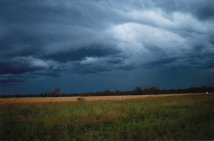 cumulonimbus thunderstorm_base : W of Dalby, Qld   22 November 1999