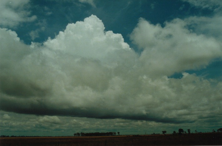 stratocumulus stratocumulus_cloud : N of Dalby, Qld   23 November 1999