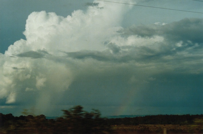 thunderstorm cumulonimbus_calvus : N of Preston, Qld   23 November 1999