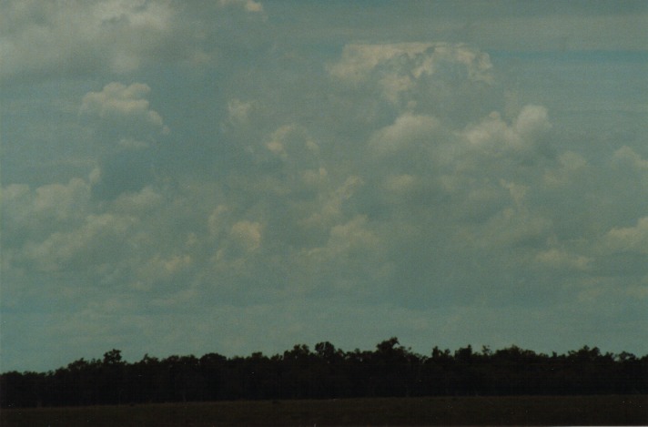 cumulus mediocris : S of Cunumulla, Qld   27 November 1999