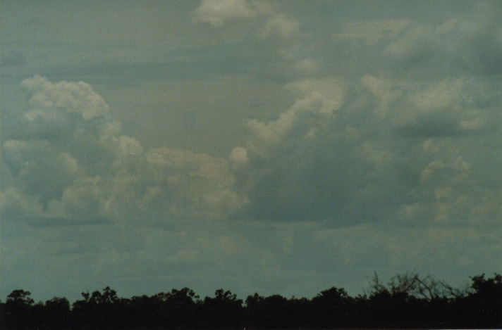 cumulus mediocris : S of Cunumulla, Qld   27 November 1999