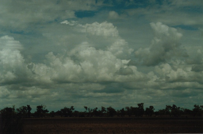 altocumulus altocumulus_cloud : S of Cunumulla, Qld   27 November 1999