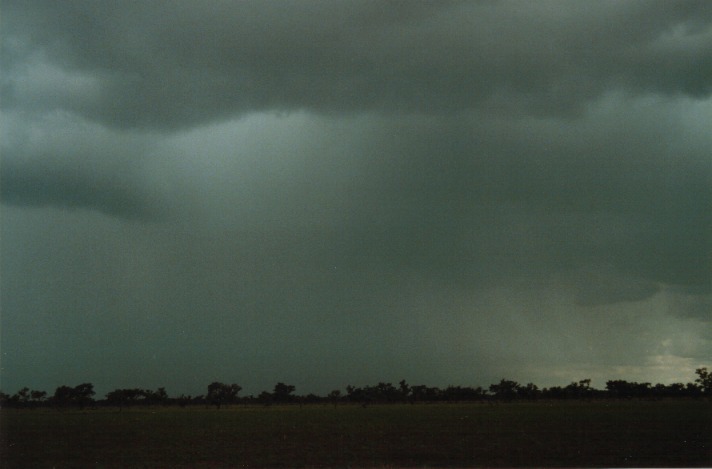 cumulonimbus thunderstorm_base : S of Cunumulla, Qld   27 November 1999