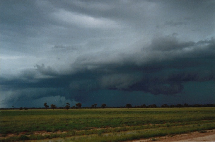 shelfcloud shelf_cloud : S of Cunumulla, Qld   27 November 1999