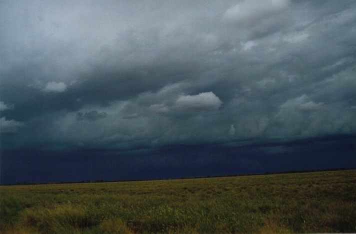 cumulonimbus thunderstorm_base : S of Cunumulla, Qld   27 November 1999