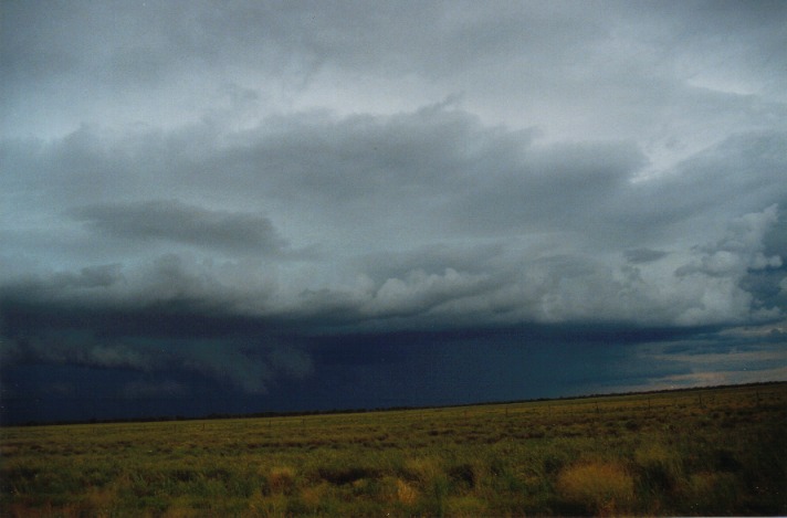 shelfcloud shelf_cloud : S of Cunumulla, Qld   27 November 1999