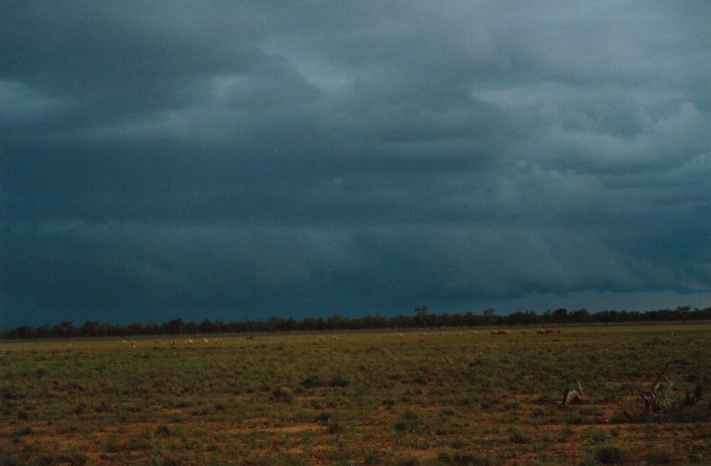 shelfcloud shelf_cloud : N of Barringun, NSW   27 November 1999