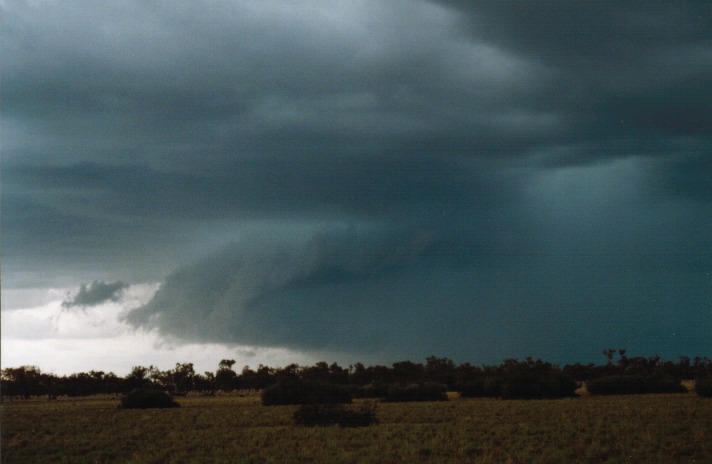 raincascade precipitation_cascade : N of Barringun, NSW   27 November 1999