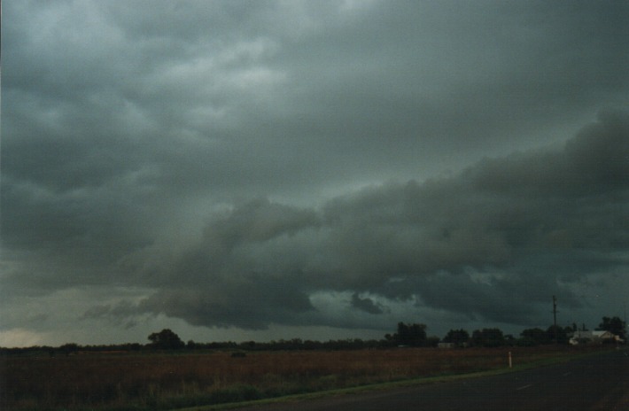 cumulonimbus thunderstorm_base : Barringun, NSW   27 November 1999