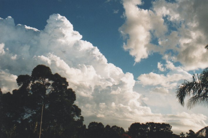 overshoot overshooting_top : Wollongbar, NSW   29 December 1999