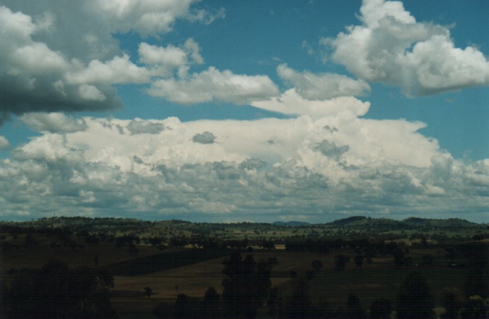 thunderstorm cumulonimbus_incus : Gulgong, NSW   30 December 1999