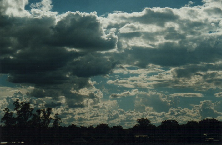 thunderstorm cumulonimbus_calvus : Denman, NSW   30 December 1999