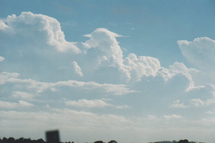 thunderstorm cumulonimbus_calvus : Wollongbar, NSW   30 December 1999