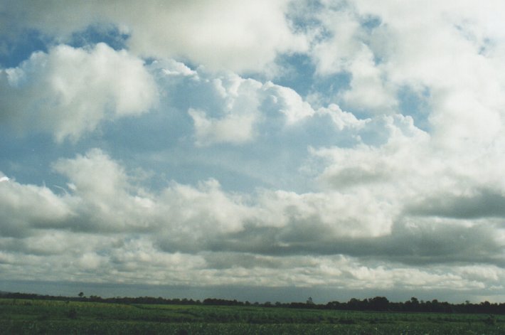 thunderstorm cumulonimbus_incus : Woodburn, NSW   31 December 1999