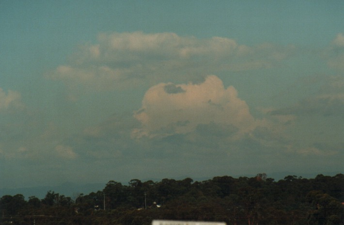 stratocumulus stratocumulus_cloud : Rooty Hill, NSW   4 January 2000