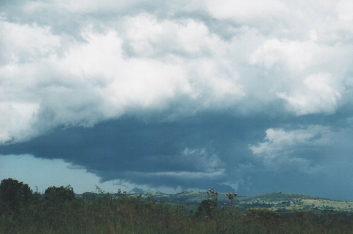 cumulonimbus thunderstorm_base : Parrots Nest, NSW   5 January 2000