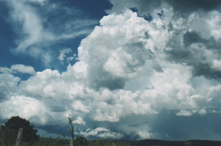 overshoot overshooting_top : Parrots Nest, NSW   5 January 2000