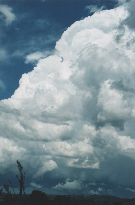 thunderstorm cumulonimbus_incus : Parrots Nest, NSW   5 January 2000