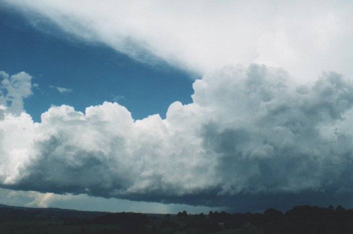 thunderstorm cumulonimbus_incus : McLeans Ridges, NSW   5 January 2000