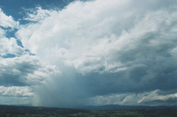 thunderstorm cumulonimbus_incus : McLeans Ridges, NSW   5 January 2000