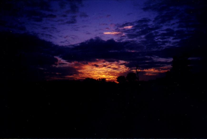 contributions received : north of Biloela, QLD<BR>Photo by Matthew Saxby   11 January 2000