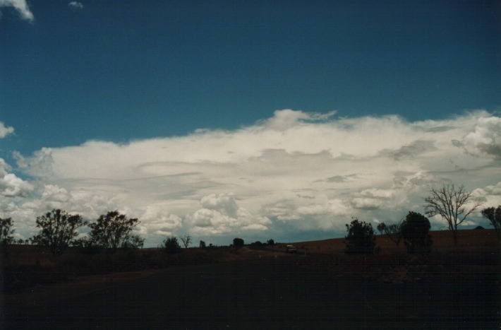 thunderstorm cumulonimbus_incus : S of Uralla, NSW   17 January 2000