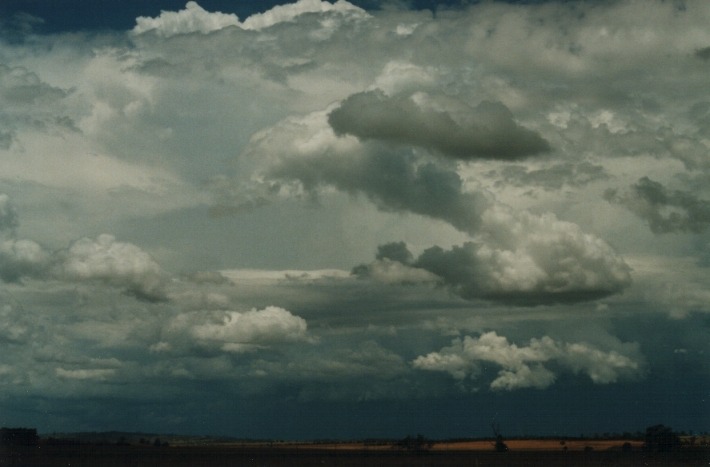 cumulonimbus thunderstorm_base : N of Uralla, NSW   17 January 2000