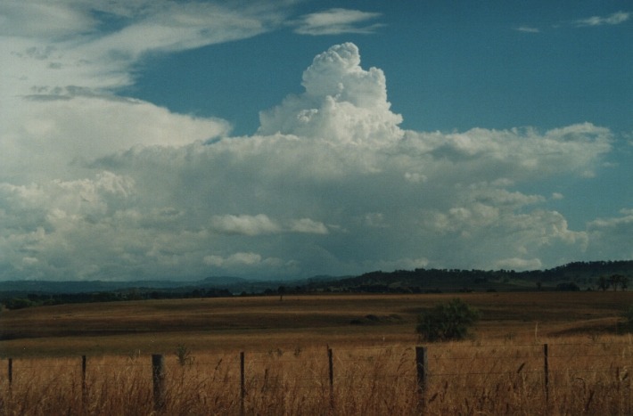 thunderstorm cumulonimbus_calvus : Glen Innes, NSW   17 January 2000