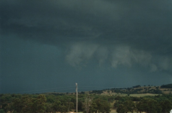 raincascade precipitation_cascade : 30km W of Glen Innes, NSW   17 January 2000