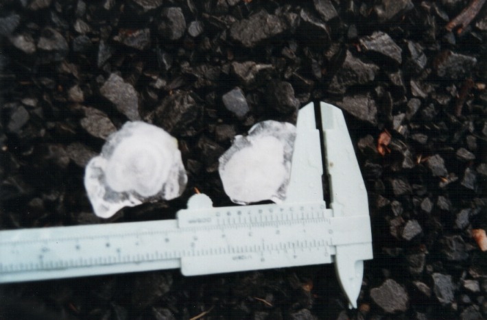 hailstones hail_stones : 20km E of Inverell, NSW   17 January 2000