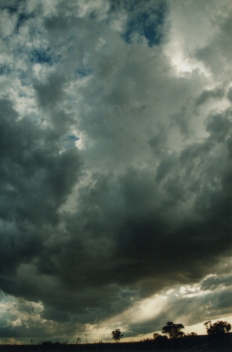 cumulonimbus thunderstorm_base : 20km E of Inverell, NSW   17 January 2000