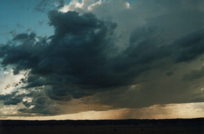 raincascade precipitation_cascade : 10km E of Inverell, NSW   17 January 2000