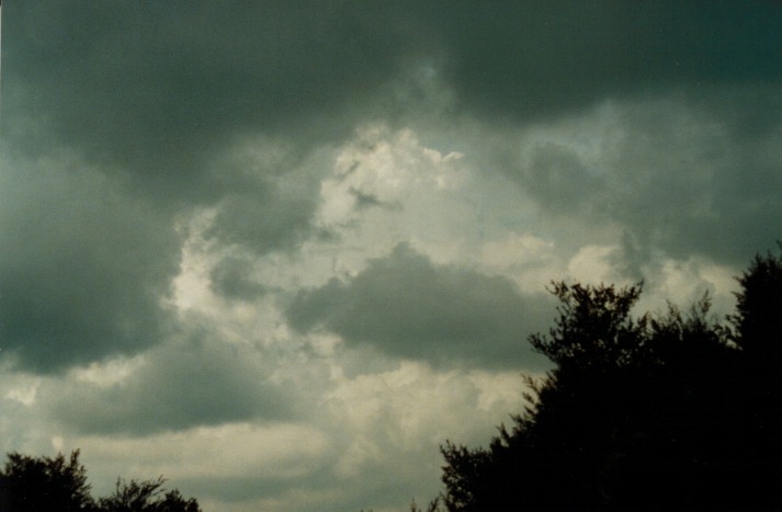 stratocumulus stratocumulus_cloud : Lithgow, NSW   5 March 2000