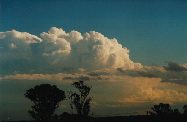 thunderstorm cumulonimbus_incus : Schofields, NSW   9 March 2000